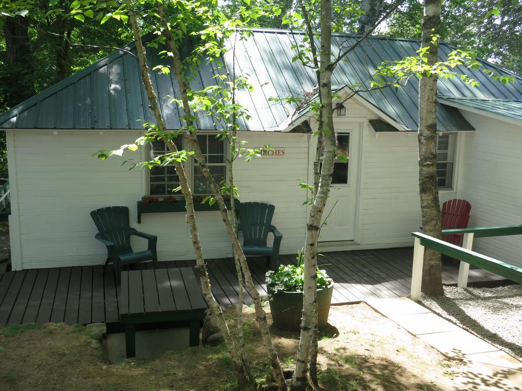 Birch Cliff Lodge On Baptiste Lake Highland Grove Værelse billede
