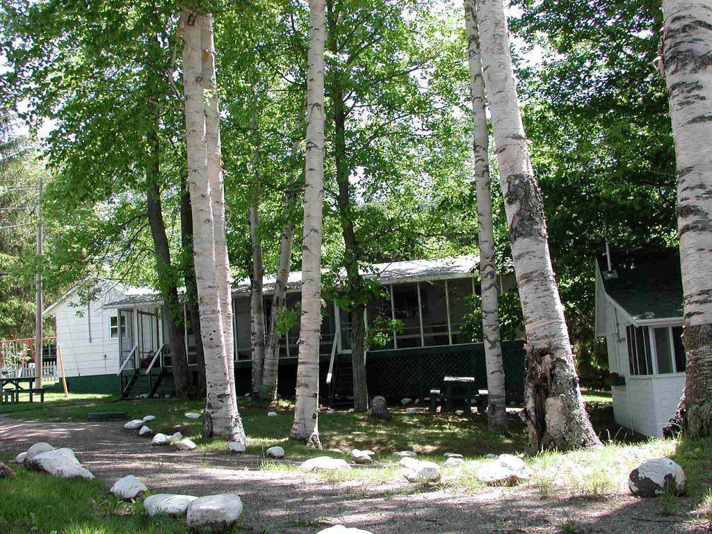 Birch Cliff Lodge On Baptiste Lake Highland Grove Værelse billede